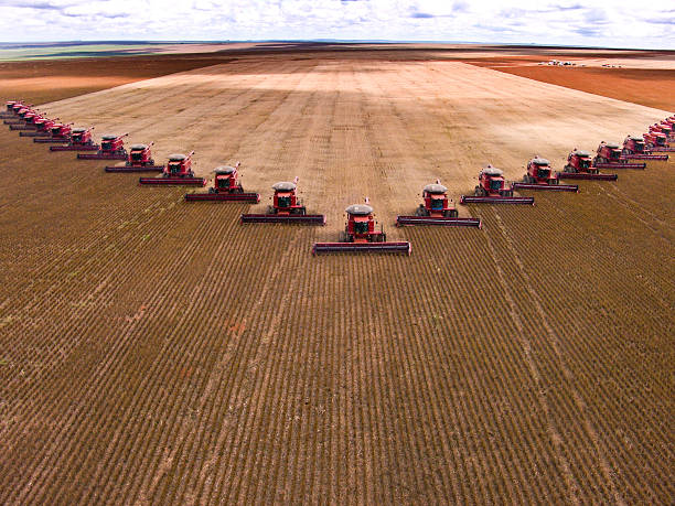 Soybean Agronomy 